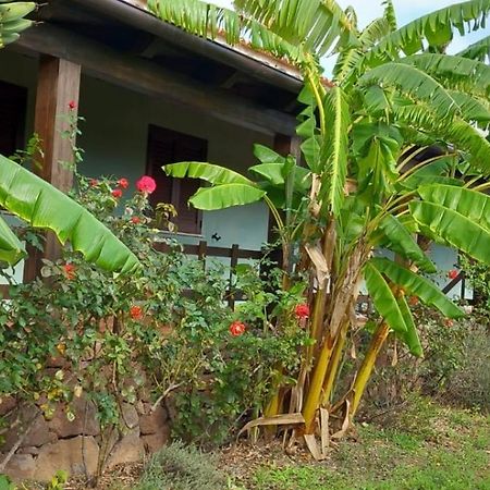 קאלה גונונה Agriturismo Su Tiresi מראה חיצוני תמונה