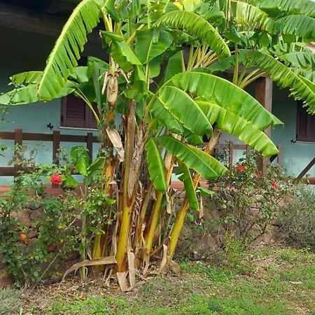 קאלה גונונה Agriturismo Su Tiresi מראה חיצוני תמונה