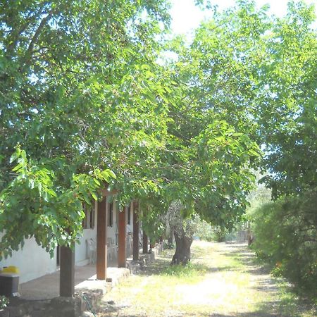 קאלה גונונה Agriturismo Su Tiresi מראה חיצוני תמונה