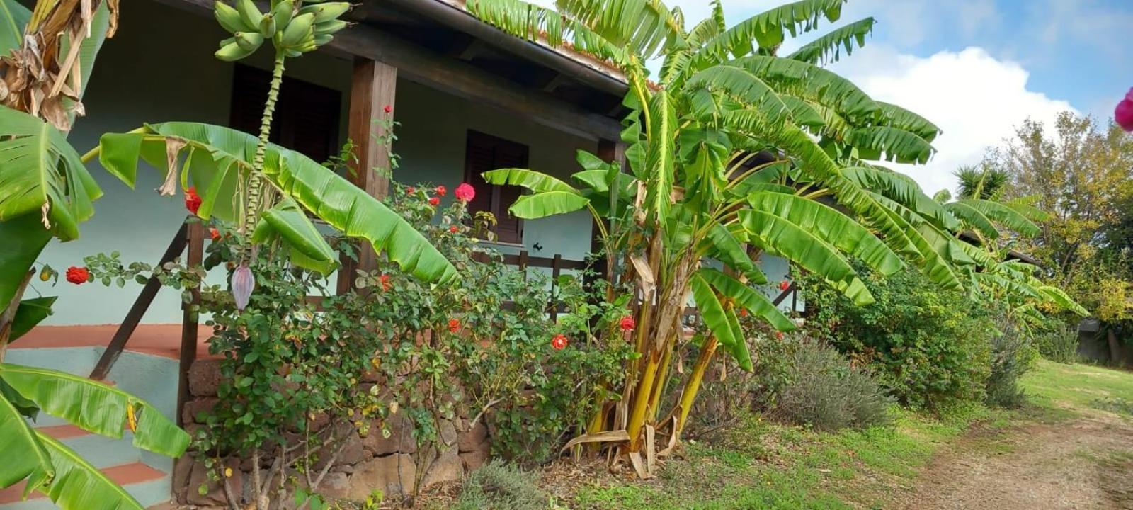 קאלה גונונה Agriturismo Su Tiresi מראה חיצוני תמונה