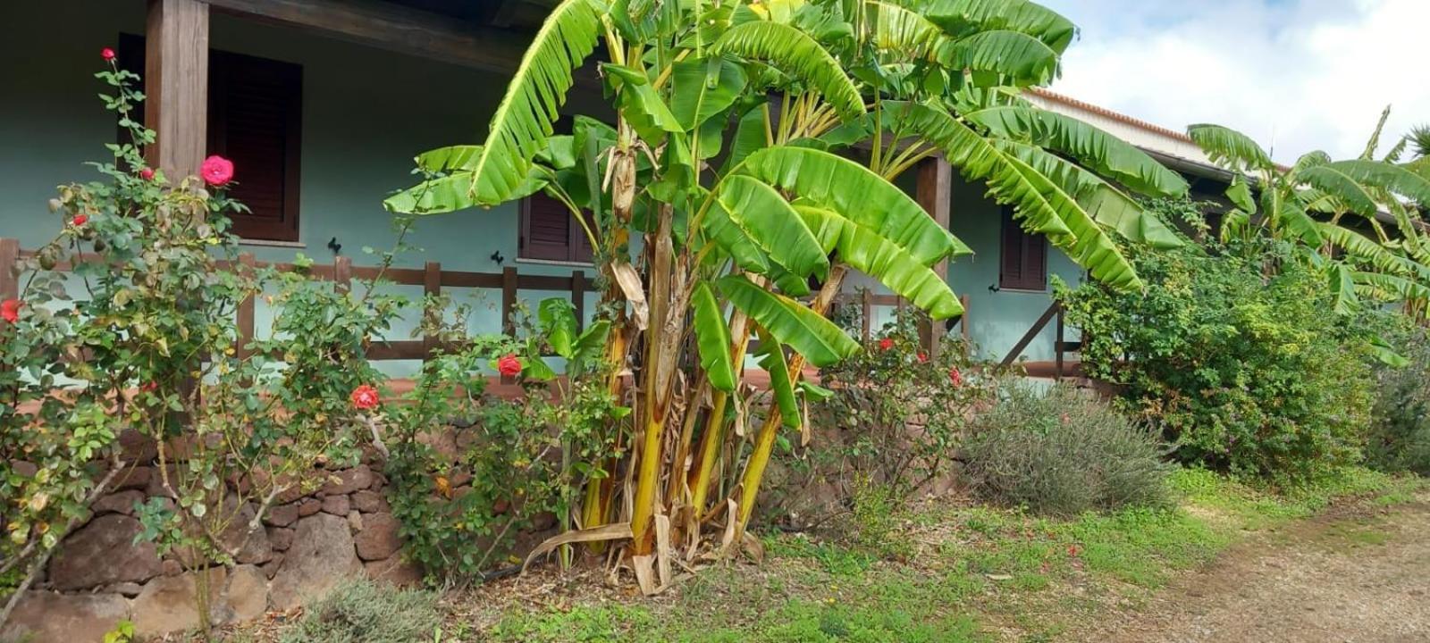קאלה גונונה Agriturismo Su Tiresi מראה חיצוני תמונה