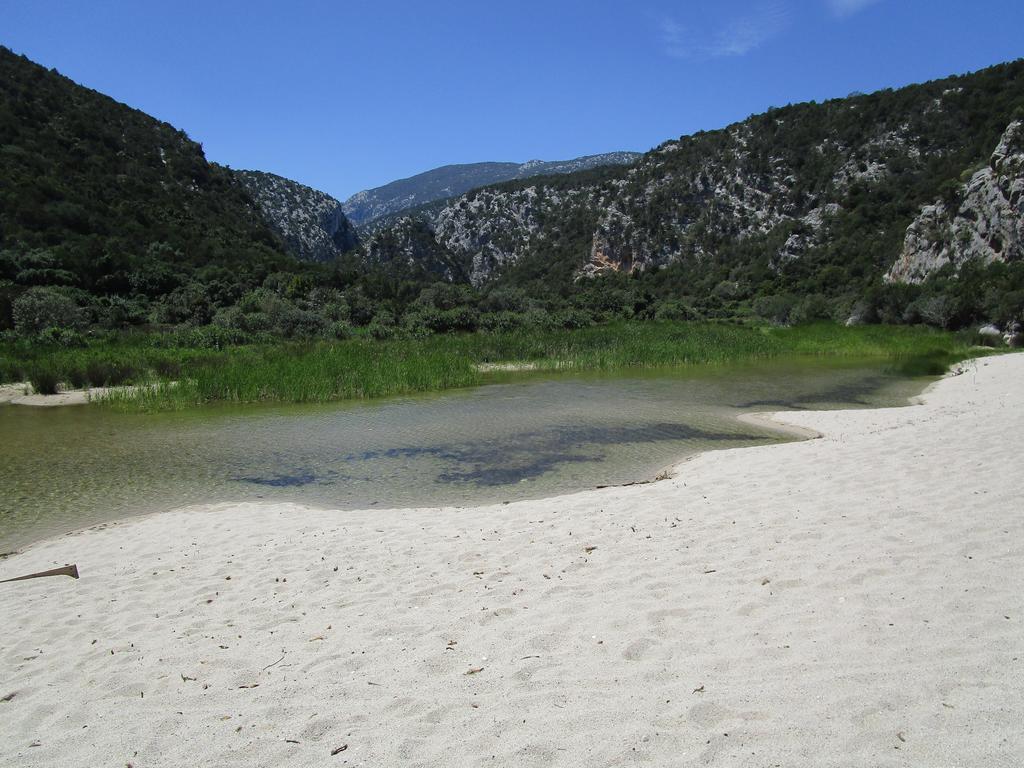 קאלה גונונה Agriturismo Su Tiresi מראה חיצוני תמונה