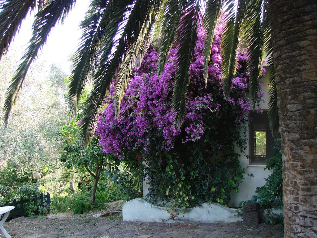 קאלה גונונה Agriturismo Su Tiresi מראה חיצוני תמונה