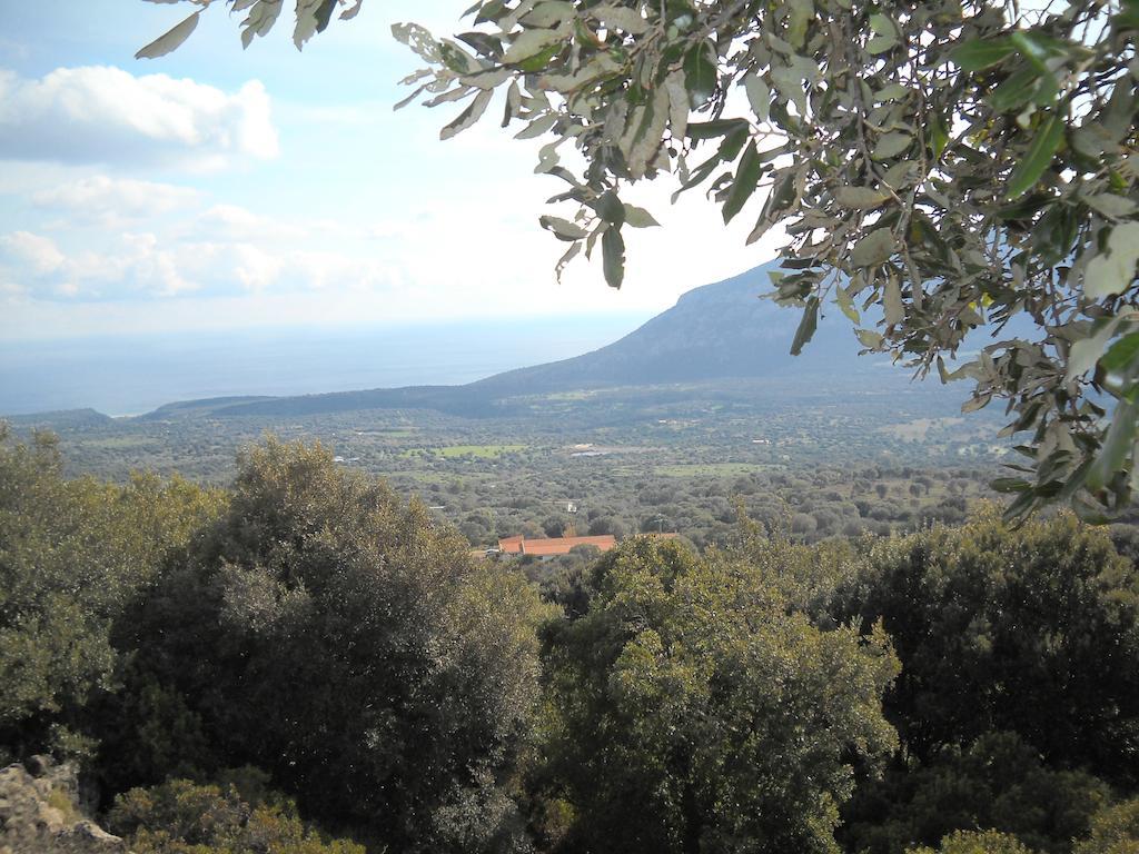 קאלה גונונה Agriturismo Su Tiresi מראה חיצוני תמונה