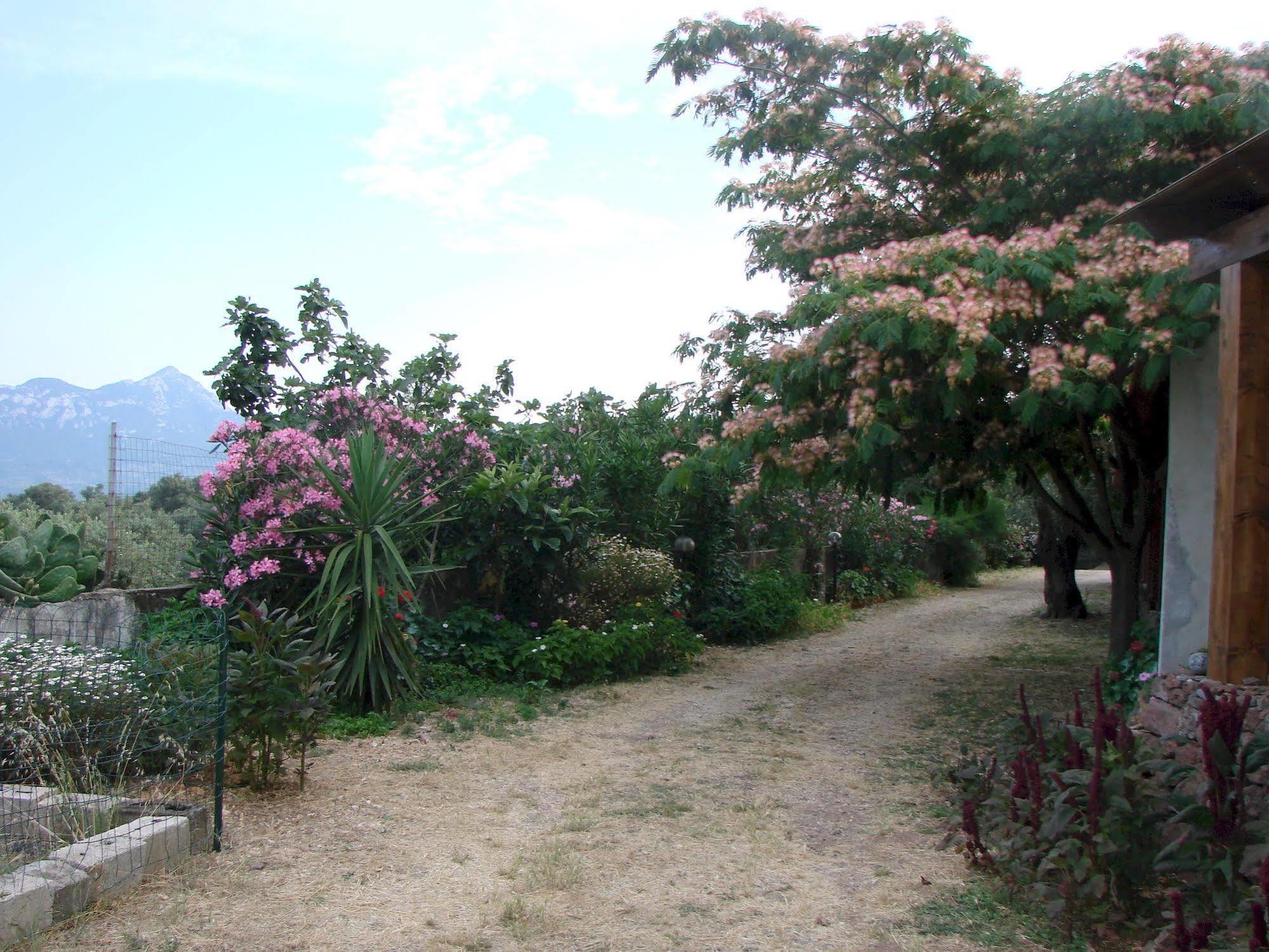 קאלה גונונה Agriturismo Su Tiresi מראה חיצוני תמונה