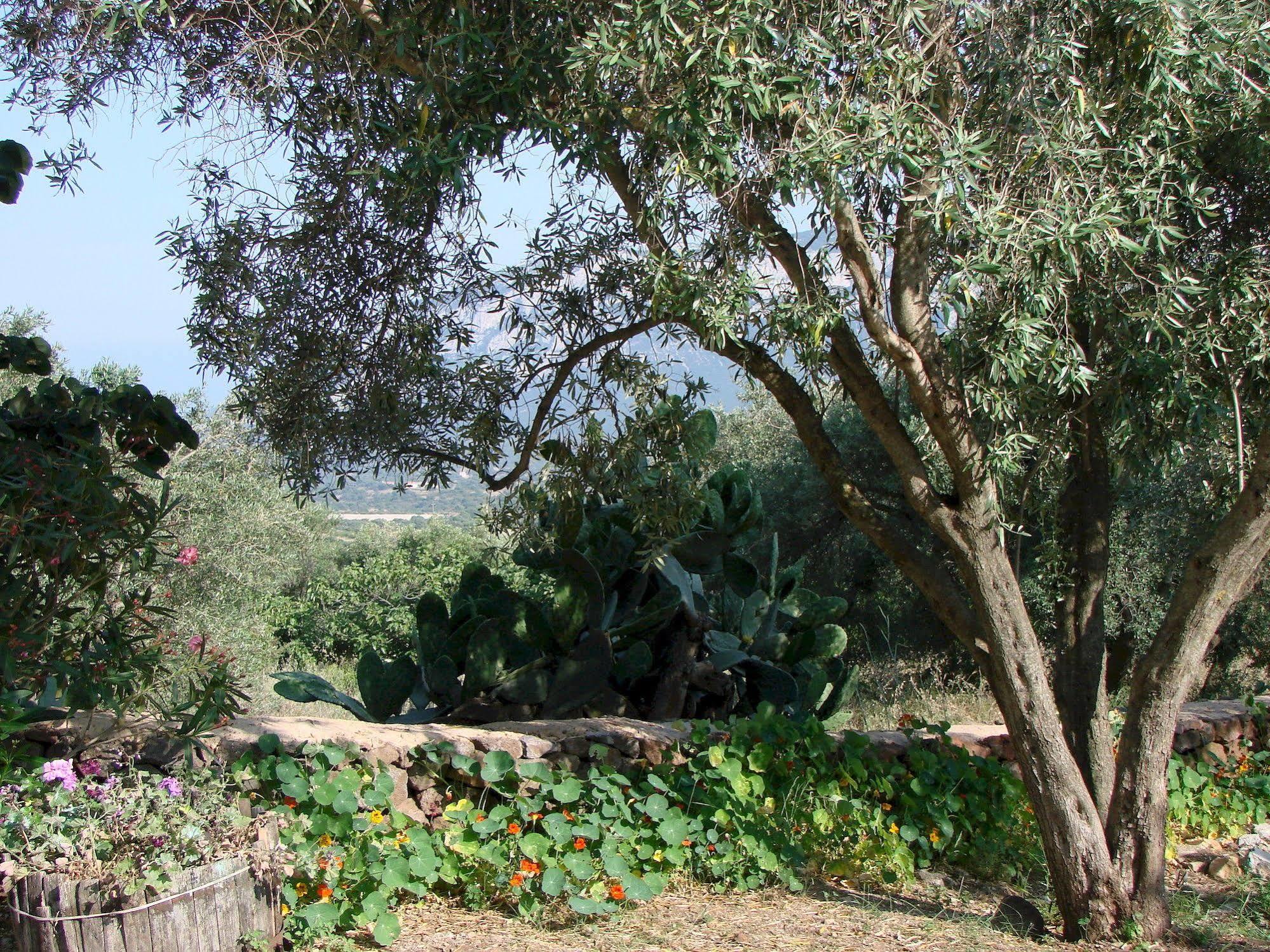 קאלה גונונה Agriturismo Su Tiresi מראה חיצוני תמונה