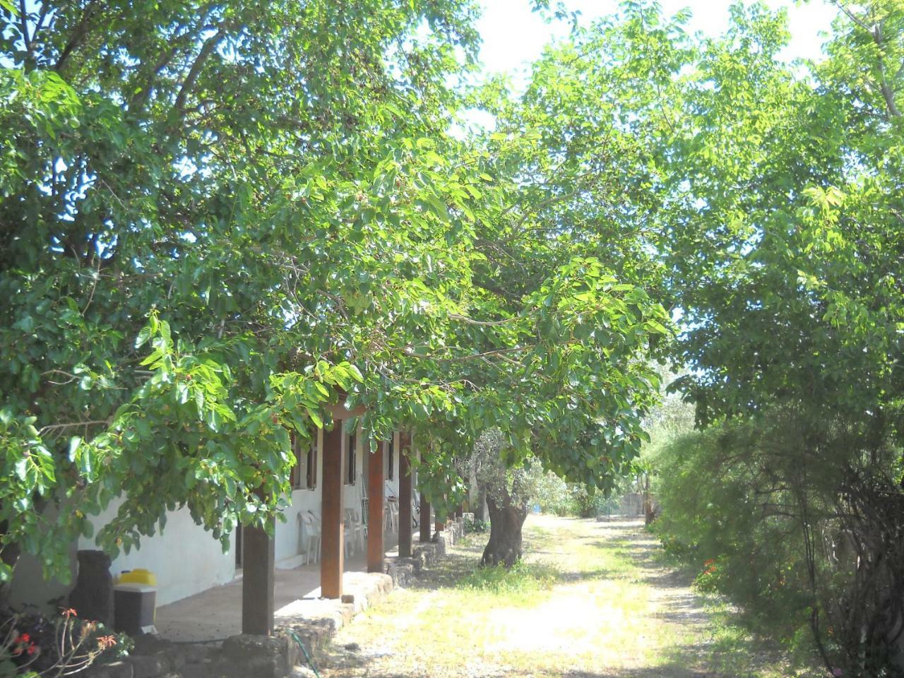 קאלה גונונה Agriturismo Su Tiresi מראה חיצוני תמונה